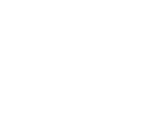 Globus IT